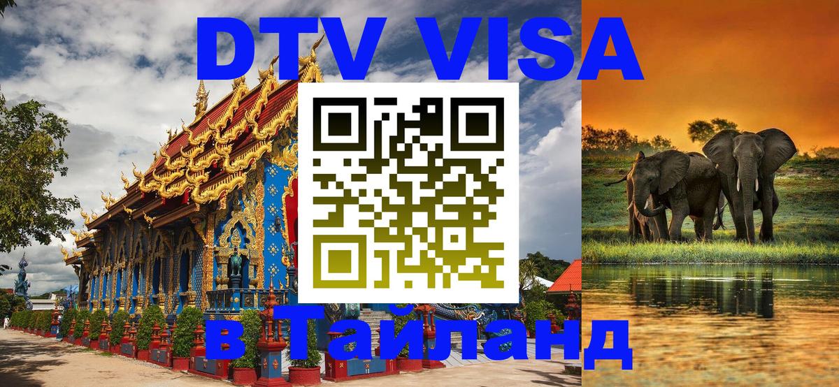 Оформление DTV визы под ключ: стоимость и тарифы, только загранпаспорт - Каракас  04.10.2025 